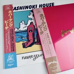 2026年最新】never young beach ステッカーの人気アイテム - メルカリ