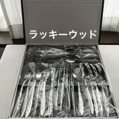 未使用品】LUCKYWOOD 純銀20μ スプーンセット 6本 - メルカリ