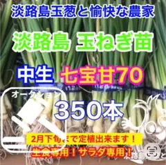 2026年最新】淡路島玉ねぎ苗の人気アイテム - メルカリ