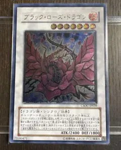 2026年最新】レリーフ ブラックローズドラゴンの人気アイテム - メルカリ