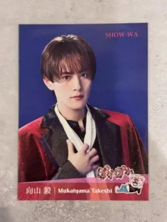 2026年最新】向山毅の人気アイテム - メルカリ