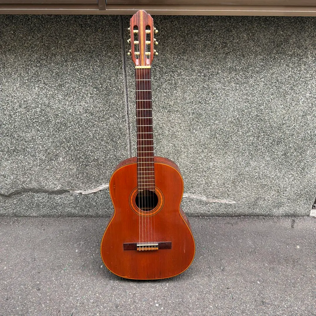 2026年最新】hashimoto ギターの人気アイテム - メルカリ