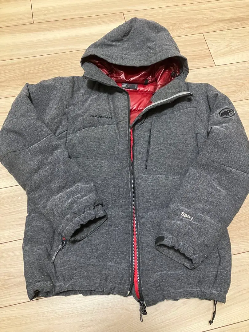 2026年最新】マムート アトラス フーデッド ダウンの人気アイテム