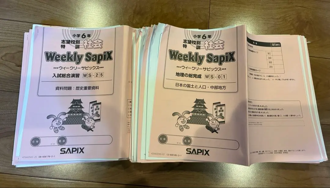 2026年最新】サピックス 社会 入試直前重要テーマの人気アイテム