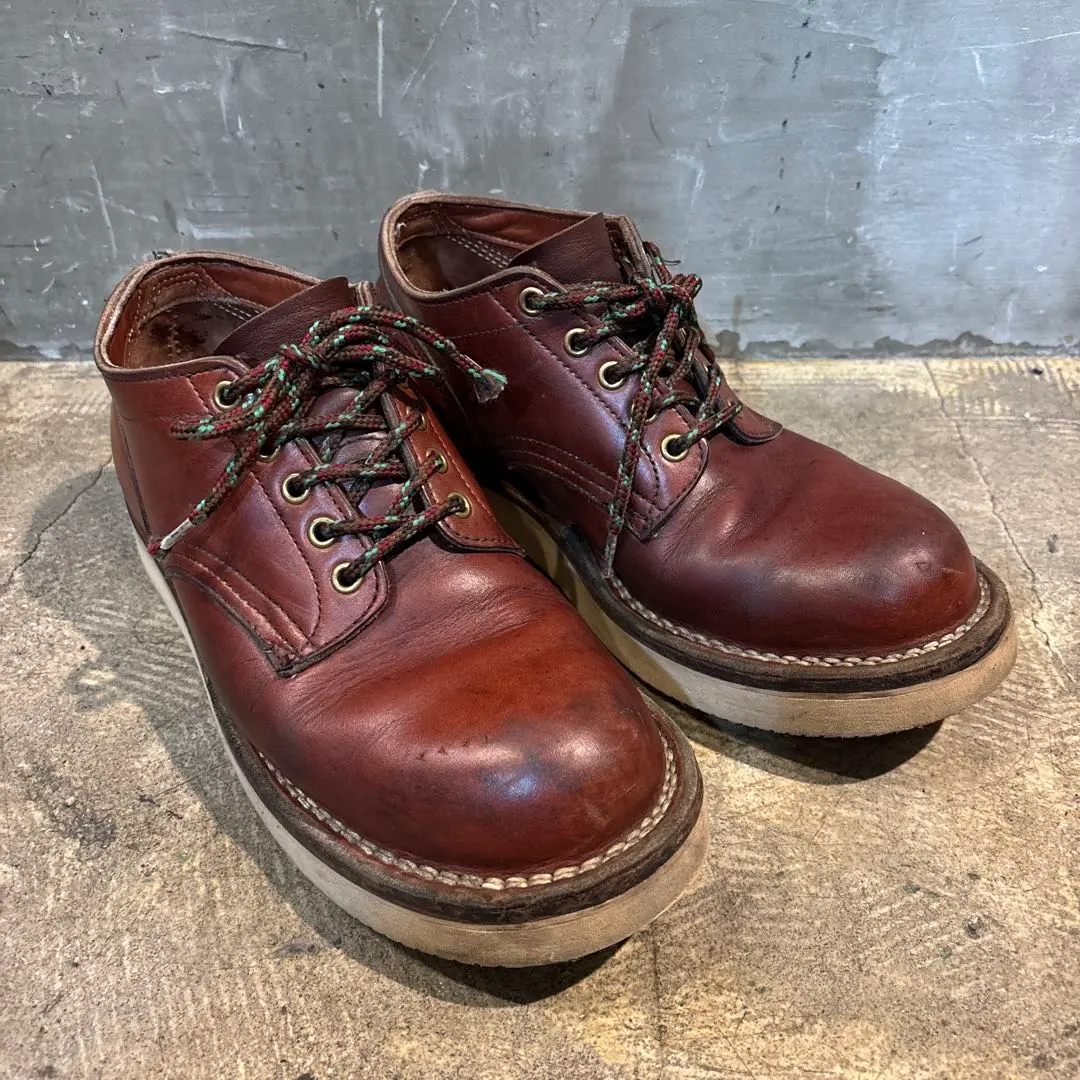 2026年最新】ハソーン ネペンテスの人気アイテム - メルカリ