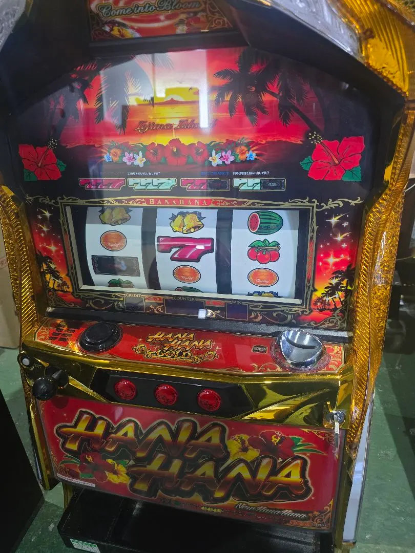 m11995825793_1.jpg?1764679727