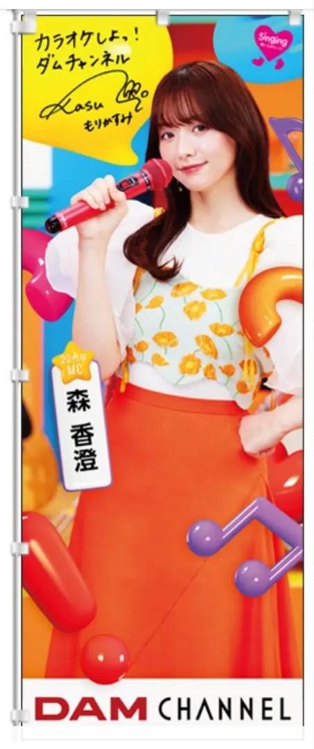 2026年最新】DAM のぼりの人気アイテム - メルカリ