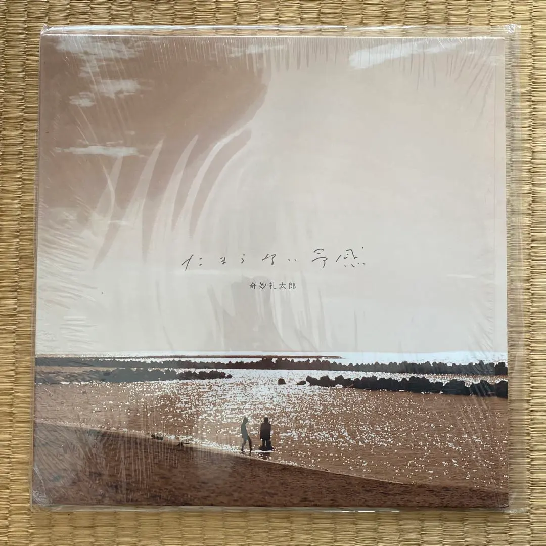 2026年最新】奇妙礼太郎 LPの人気アイテム - メルカリ