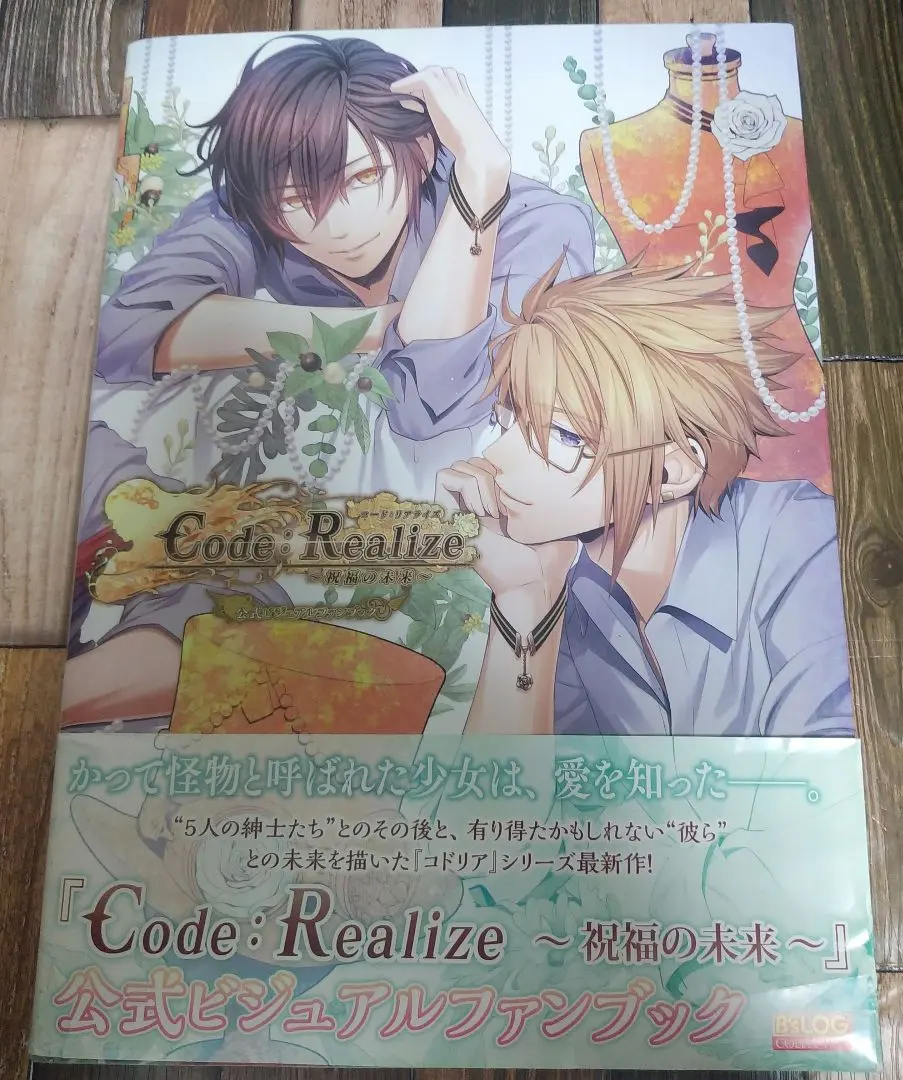 2026年最新】リアライズ公式ビジュアルファンブックの人気アイテム