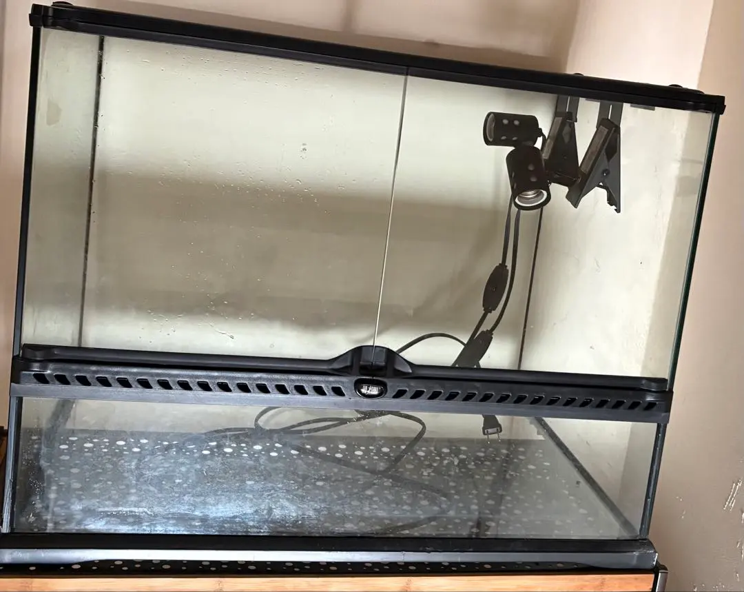 2026年最新】グラステラリウム6030の人気アイテム - メルカリ