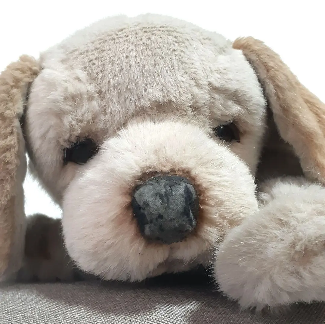 2026年最新】ぬいぐるみ JOCKLINEの人気アイテム - メルカリ