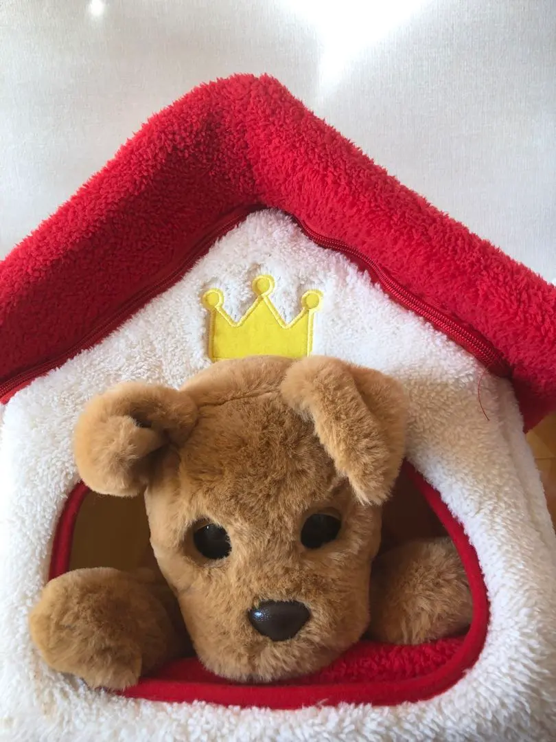 2026年最新】ダッキースターの人気アイテム - メルカリ