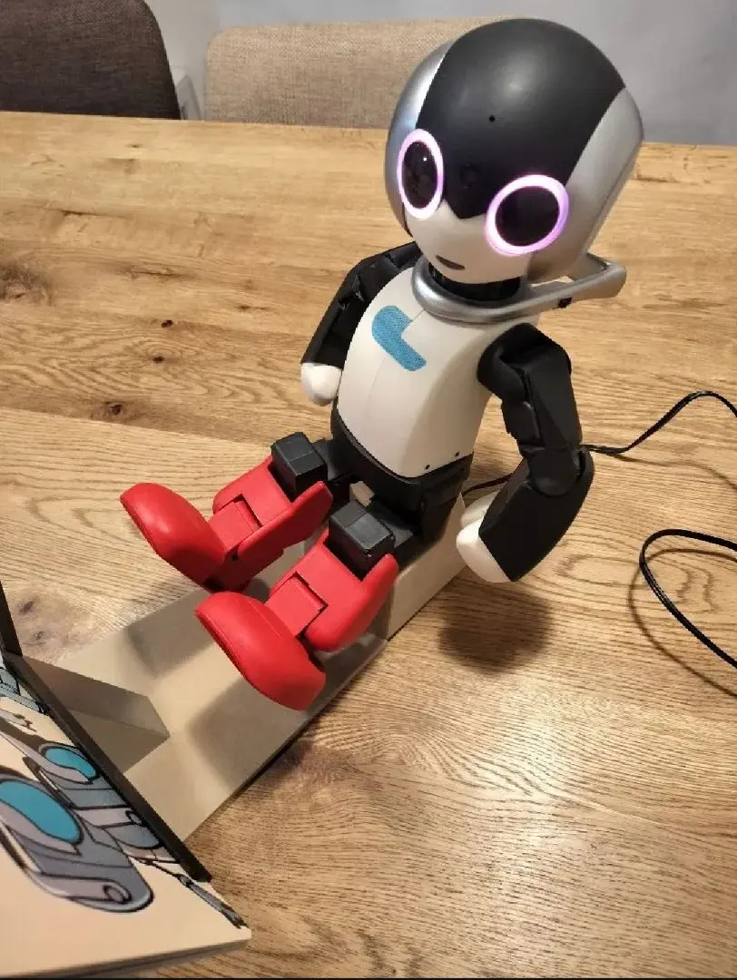 2026年最新】完成品 ロビ2の人気アイテム - メルカリ