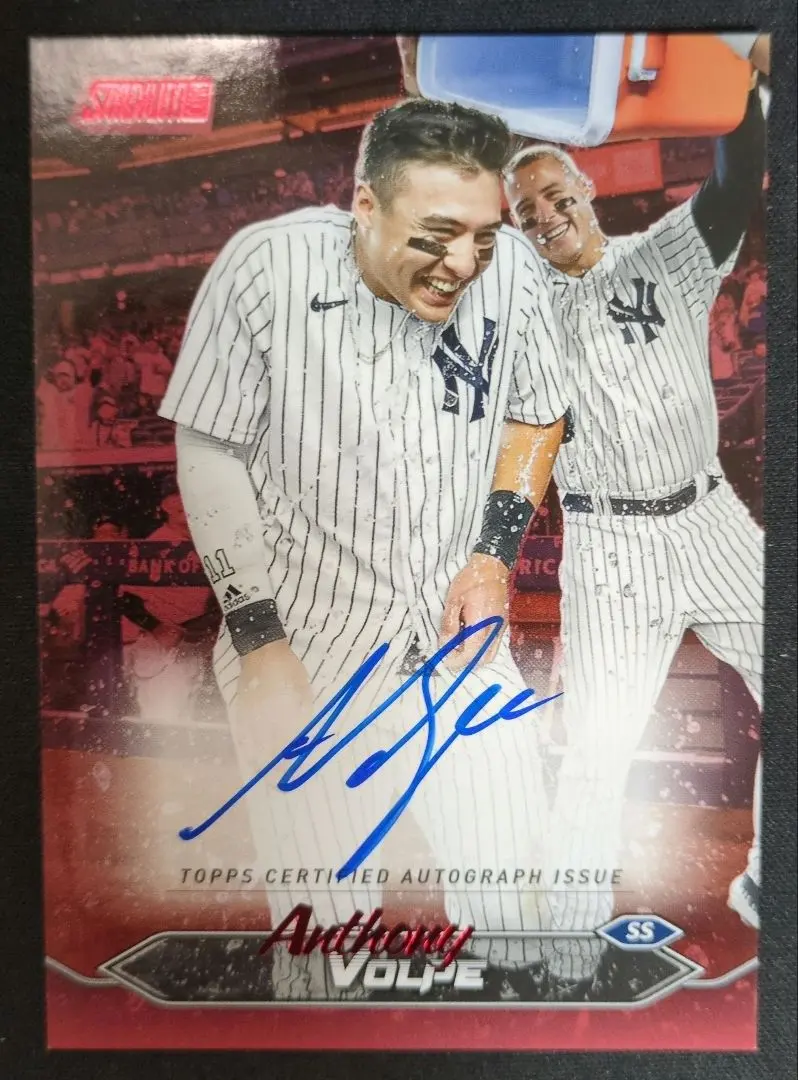 2026年最新】anthony volpeの人気アイテム - メルカリ