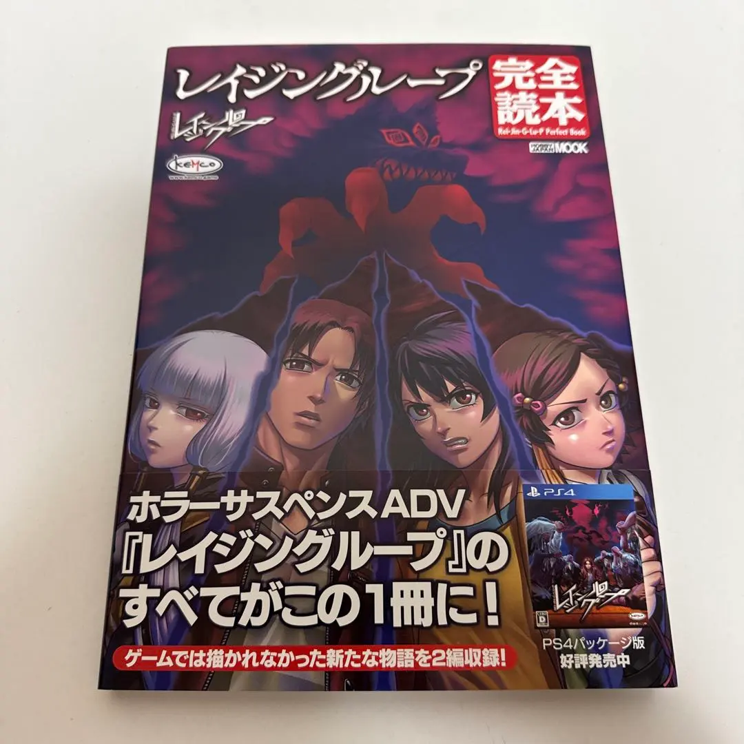 2026年最新】レイジングループ 完全読本の人気アイテム - メルカリ