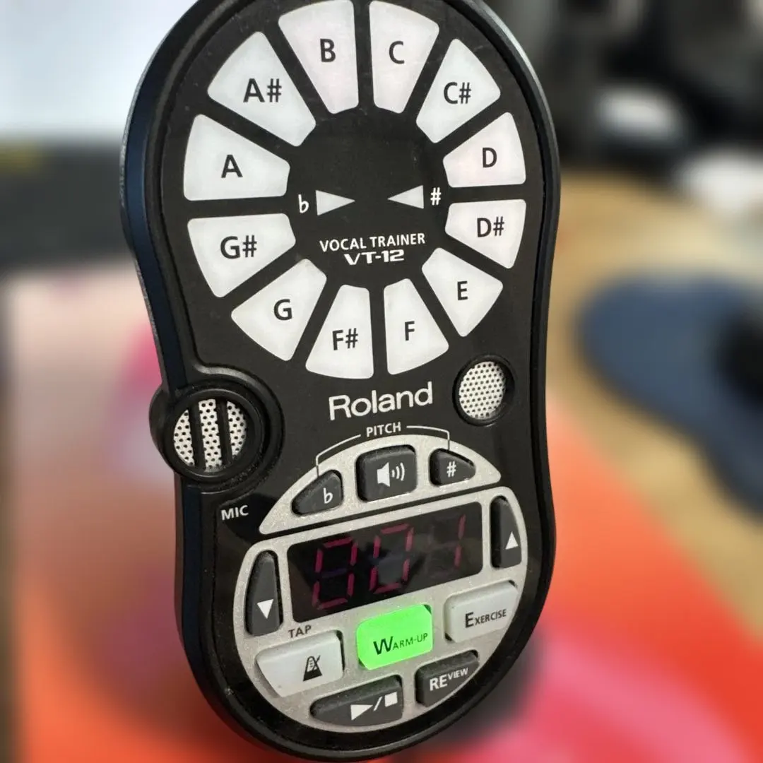 2026年最新】Roland VT-12の人気アイテム - メルカリ