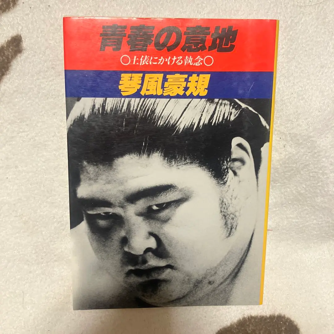 2026年最新】琴風豪規の人気アイテム - メルカリ