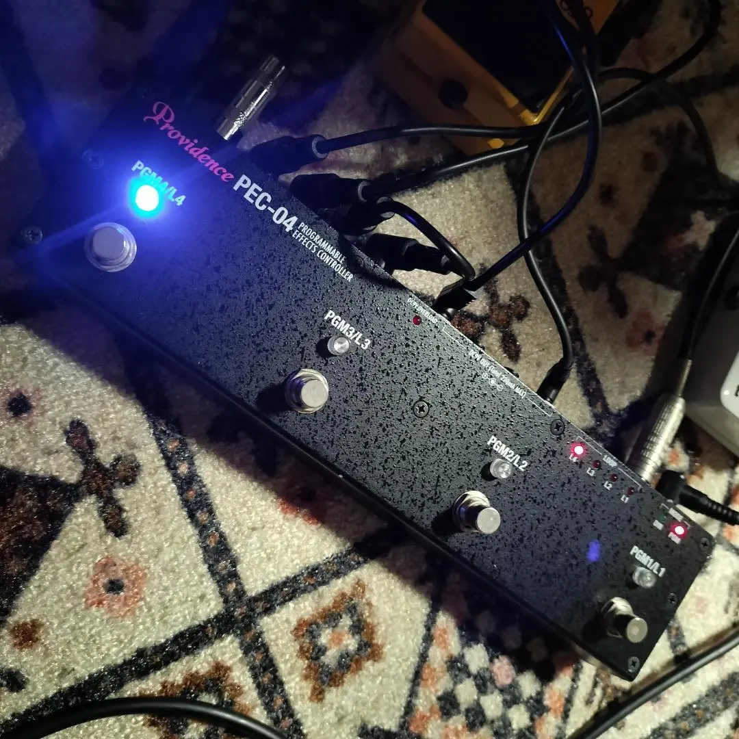 2026年最新】providence pecの人気アイテム - メルカリ