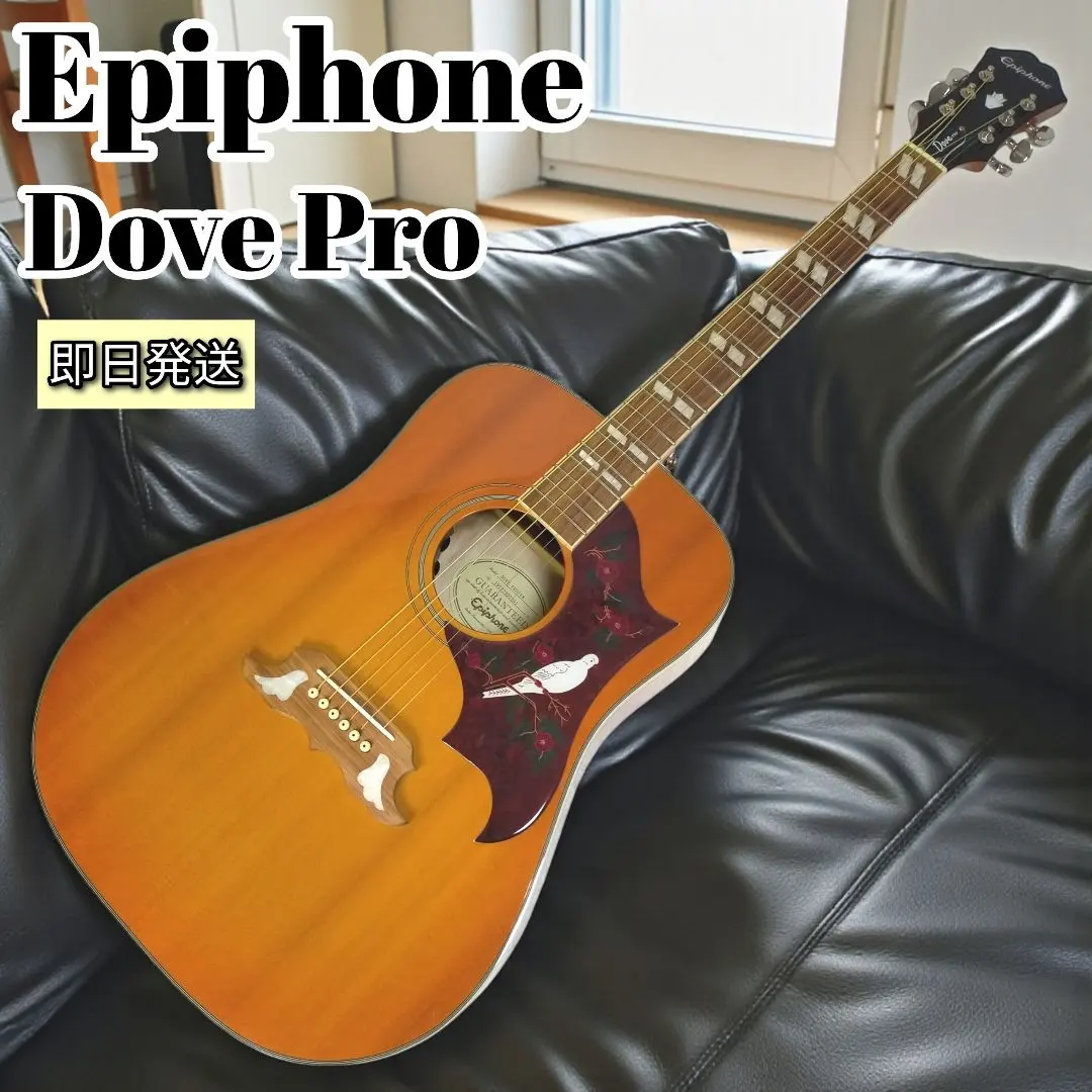 2026年最新】epiphone doveの人気アイテム - メルカリ