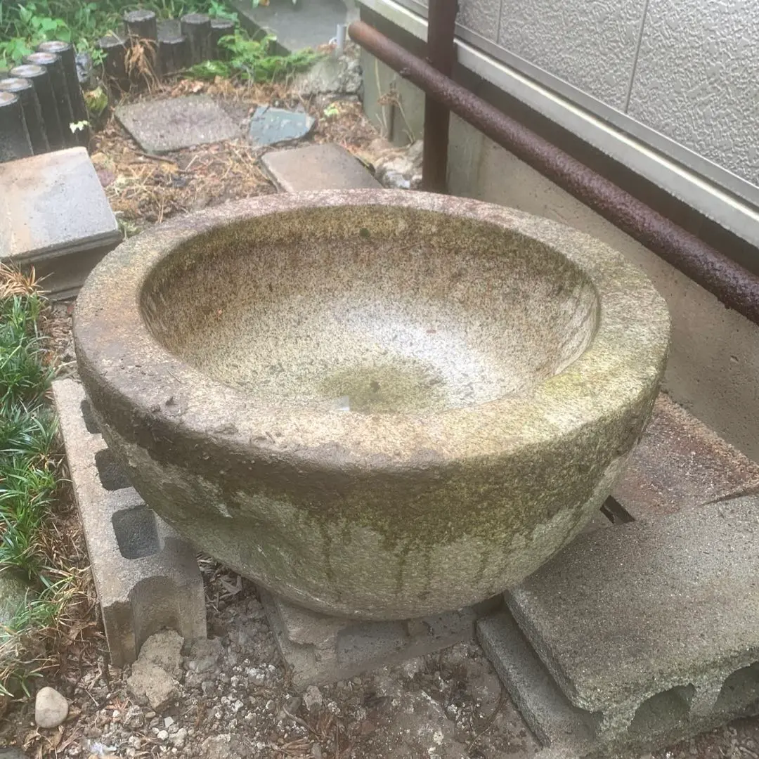 2026年最新】石臼 メダカの人気アイテム - メルカリ