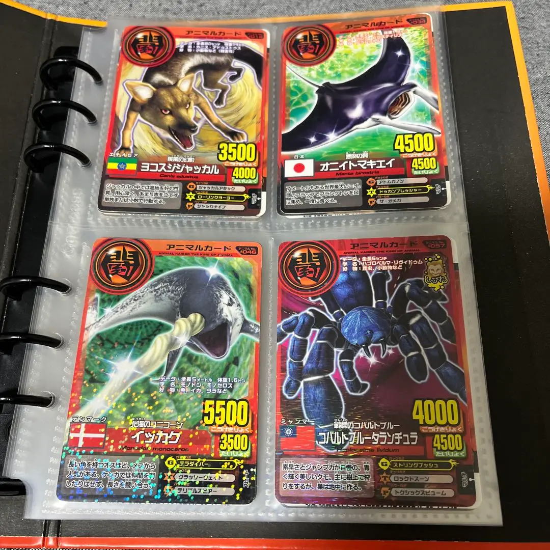 2026年最新】アニマルカイザー コバルトの人気アイテム - メルカリ