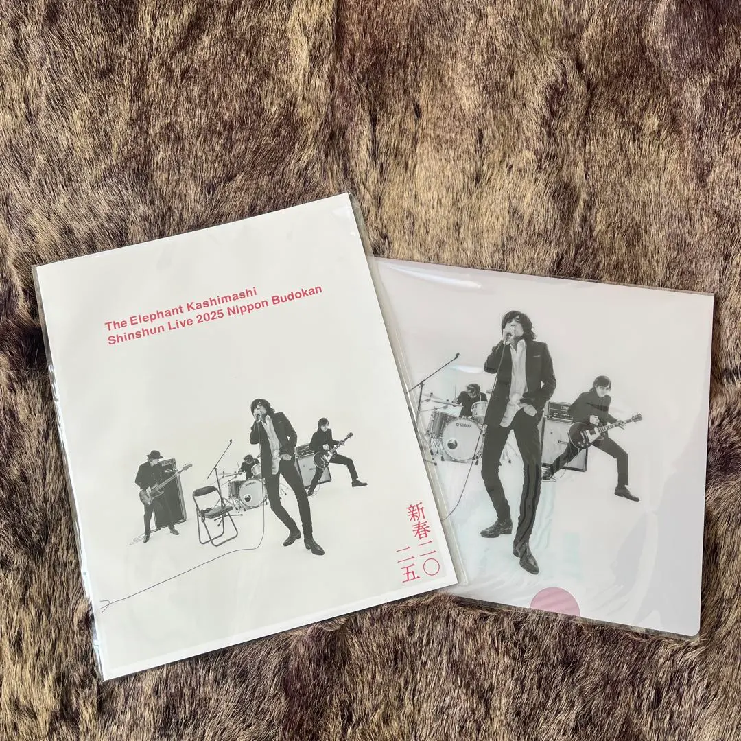 2026年最新】エレファントカシマシ パンフの人気アイテム - メルカリ