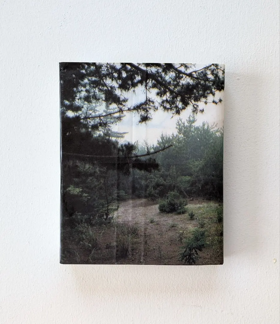 2026年最新】志賀理江子 螺旋海岸の人気アイテム - メルカリ