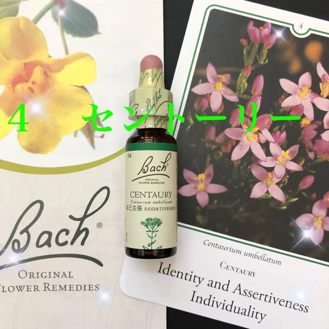 2026年最新】バッチフラワーレメディ セントーリー 10mlの人気アイテム