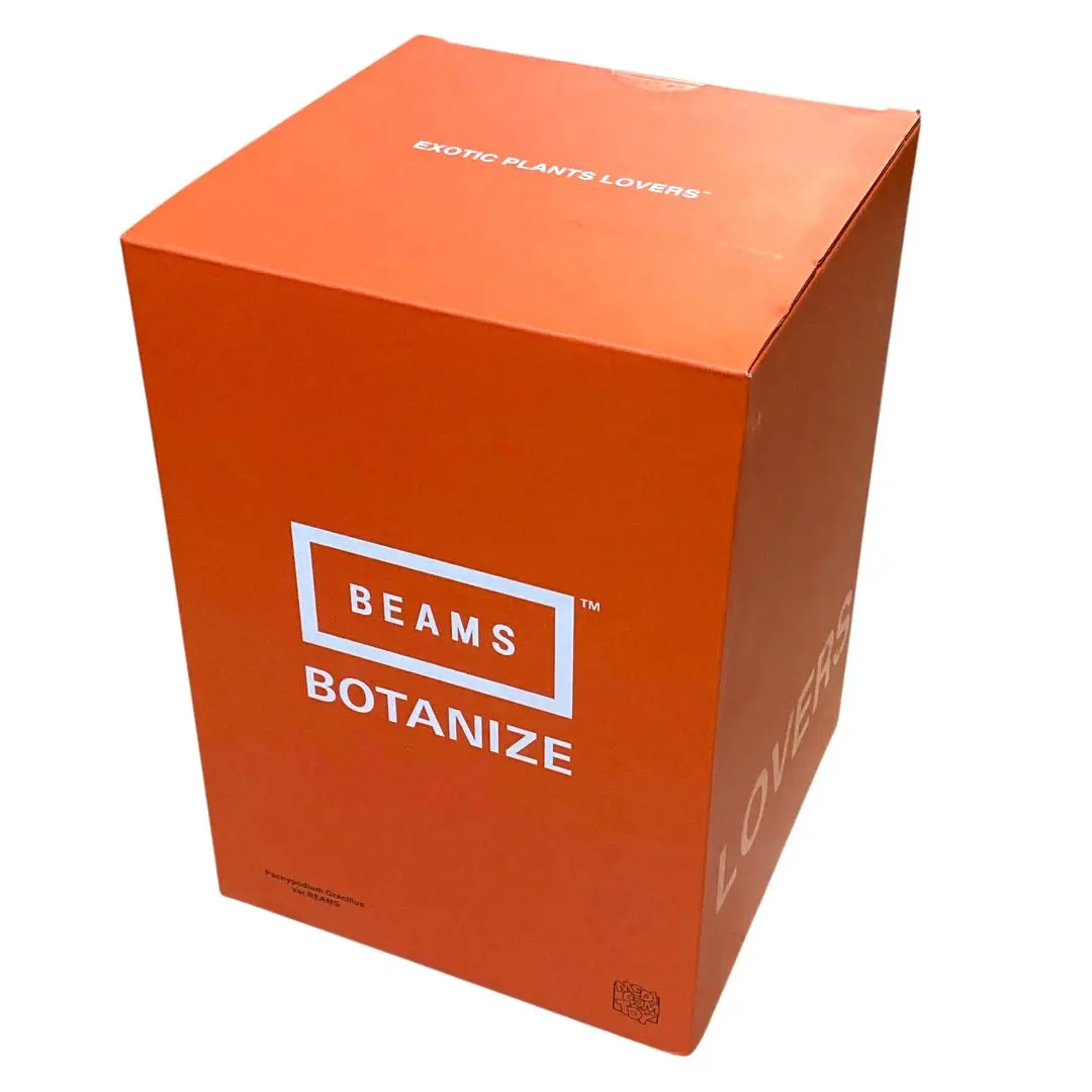 2026年最新】medicom toy botanizeの人気アイテム - メルカリ