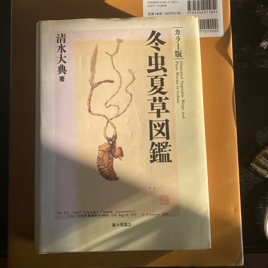 2026年最新】冬虫夏草図鑑の人気アイテム - メルカリ