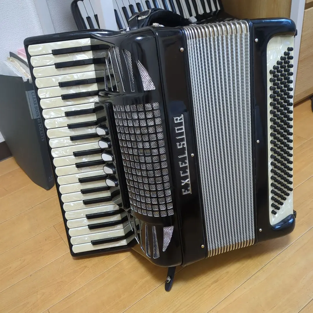 2026年最新】アコーディオン excelsiorの人気アイテム - メルカリ