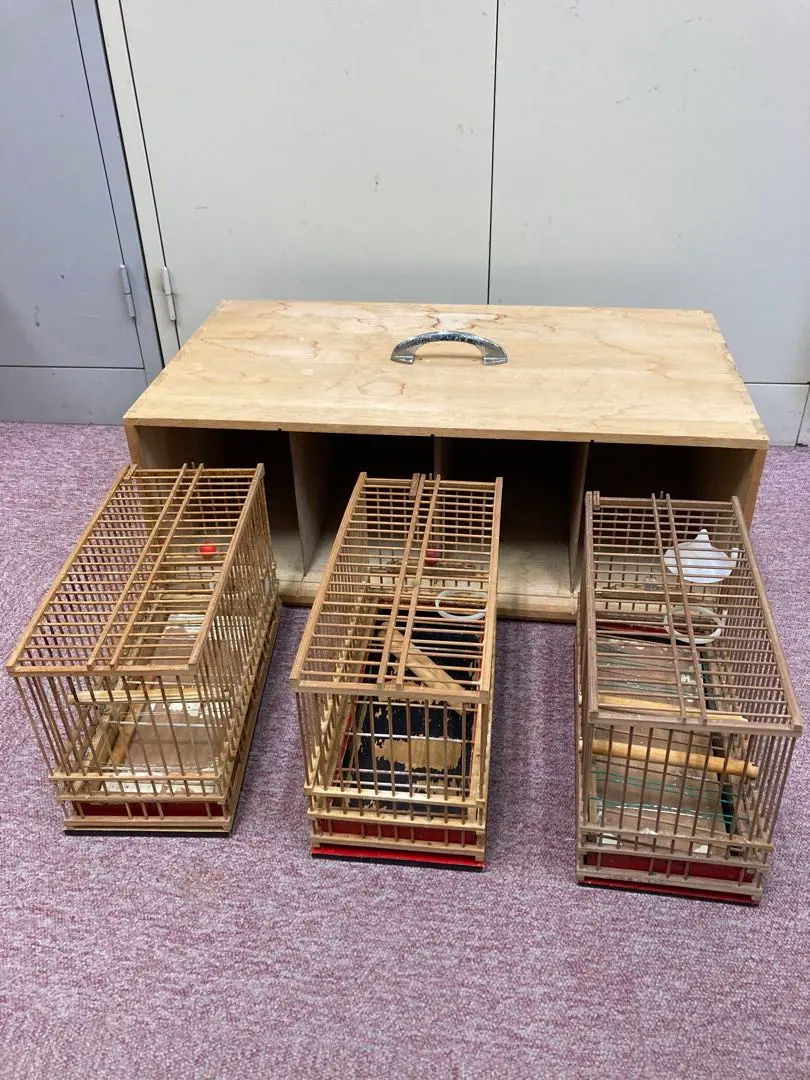 2026年最新】鳥用品 メジロ籠 めじろ籠の人気アイテム - メルカリ