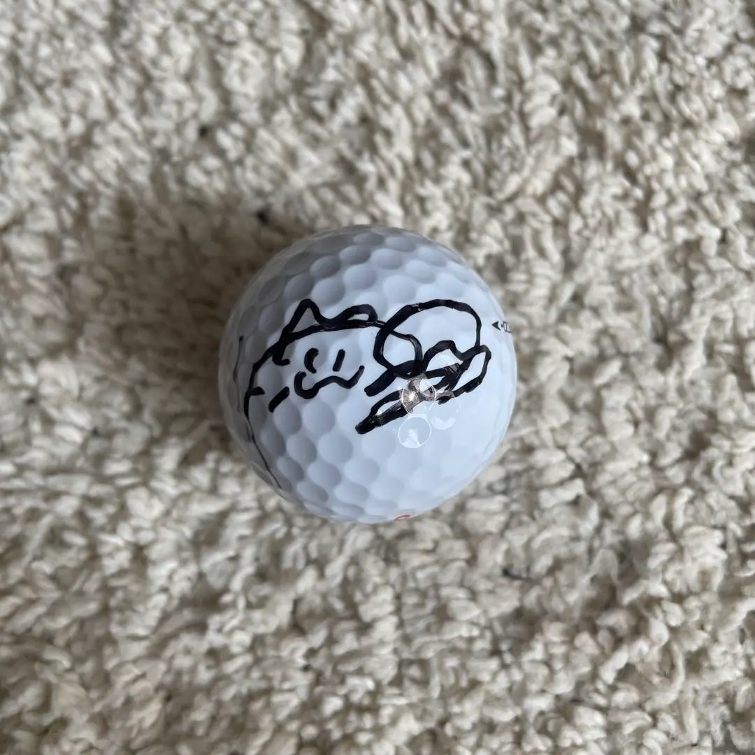 2026年最新】菅沼菜々 サインの人気アイテム - メルカリ