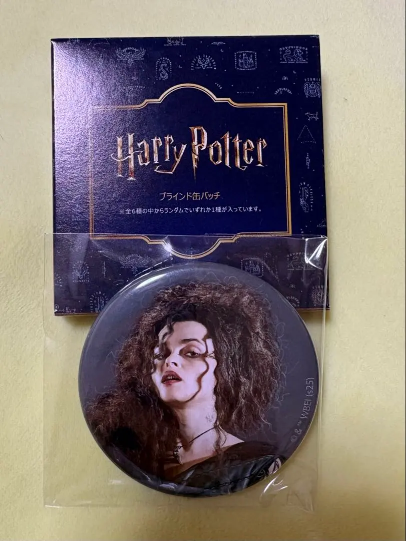 2026年最新】flAPPER ハリーポッター 缶バッジの人気アイテム - メルカリ