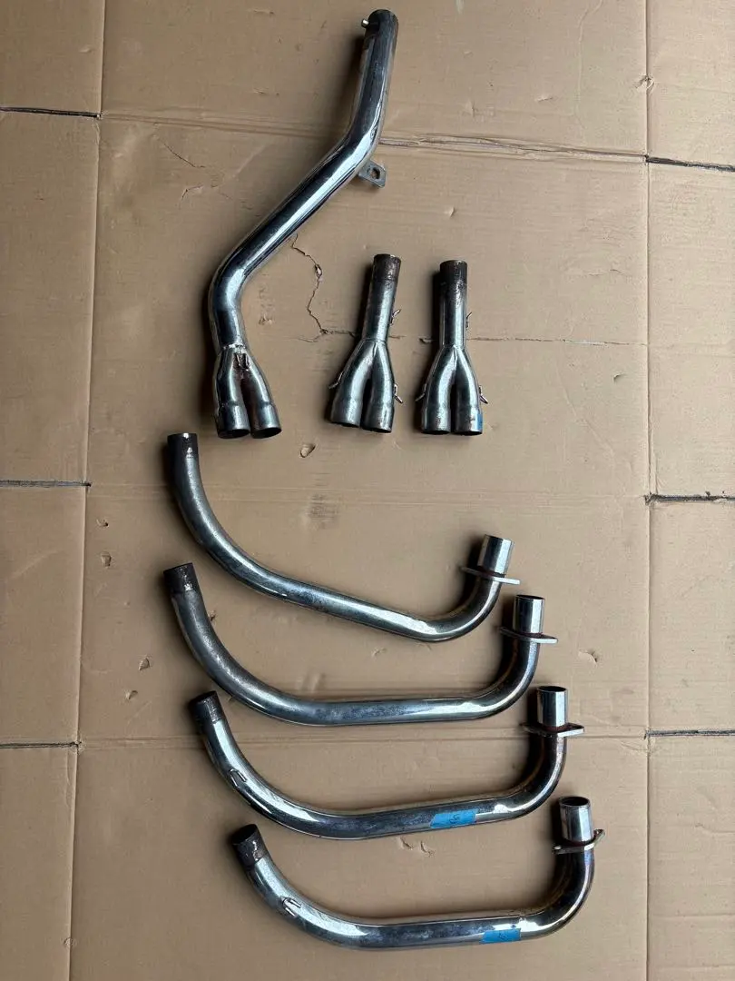 2026年最新】パステルロード スネークの人気アイテム - メルカリ