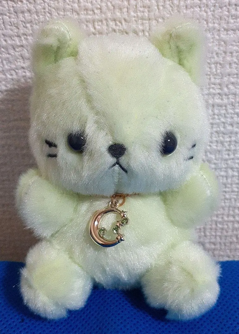 2026年最新】ハッピーバースカラー パステルキャットの人気アイテム