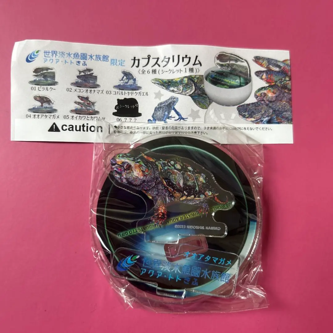 2026年最新】オオアタマガメの人気アイテム - メルカリ