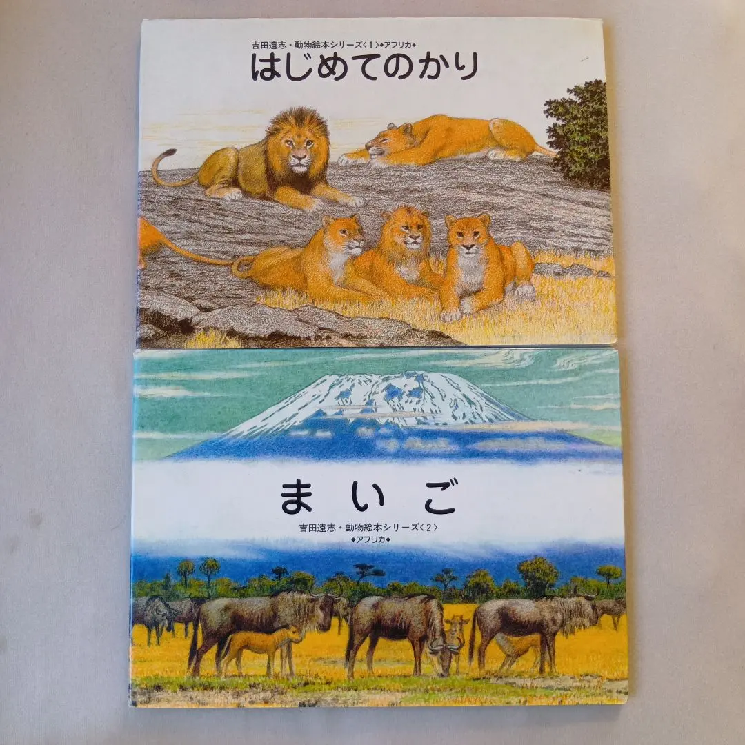 2026年最新】吉田遠志 動物絵本シリーズ?アフリカの人気アイテム