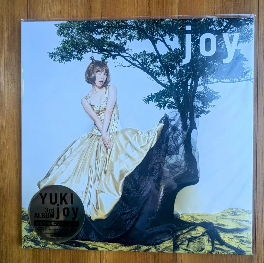 2026年最新】YUKI JOY レコードの人気アイテム - メルカリ