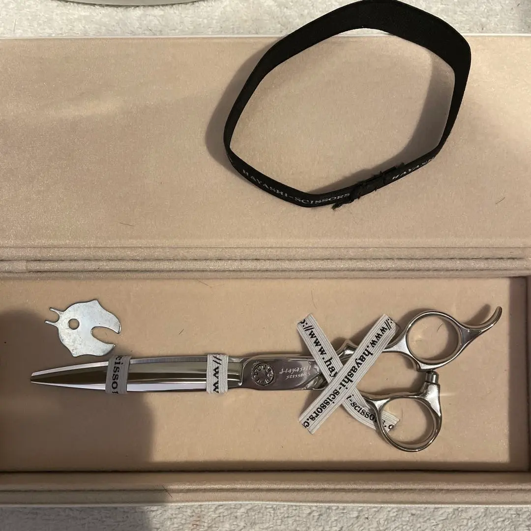 2026年最新】ハヤシシザースの人気アイテム - メルカリ