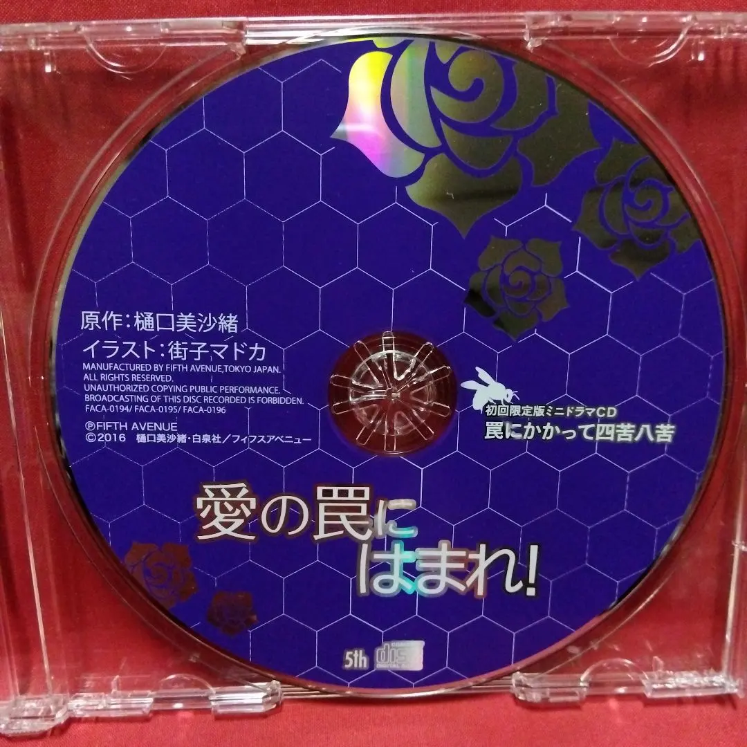 2026年最新】樋口美沙緒 cdの人気アイテム - メルカリ