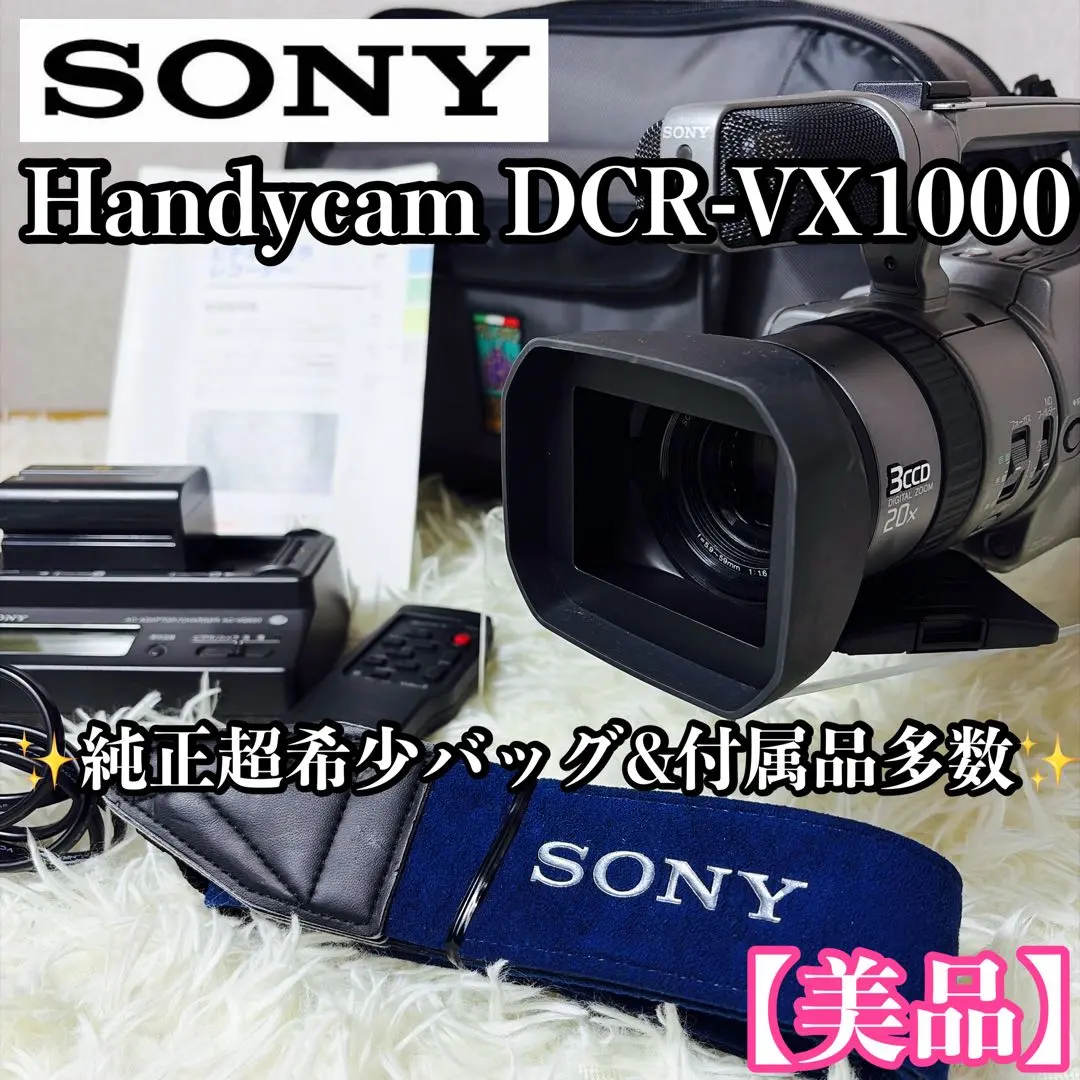 2026年最新】sony vx1000の人気アイテム - メルカリ