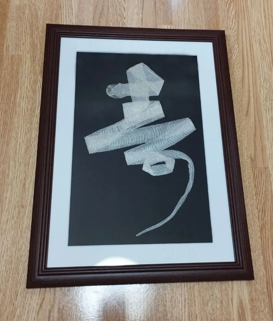 2026年最新】アオダイショウ 抜け殻の人気アイテム - メルカリ