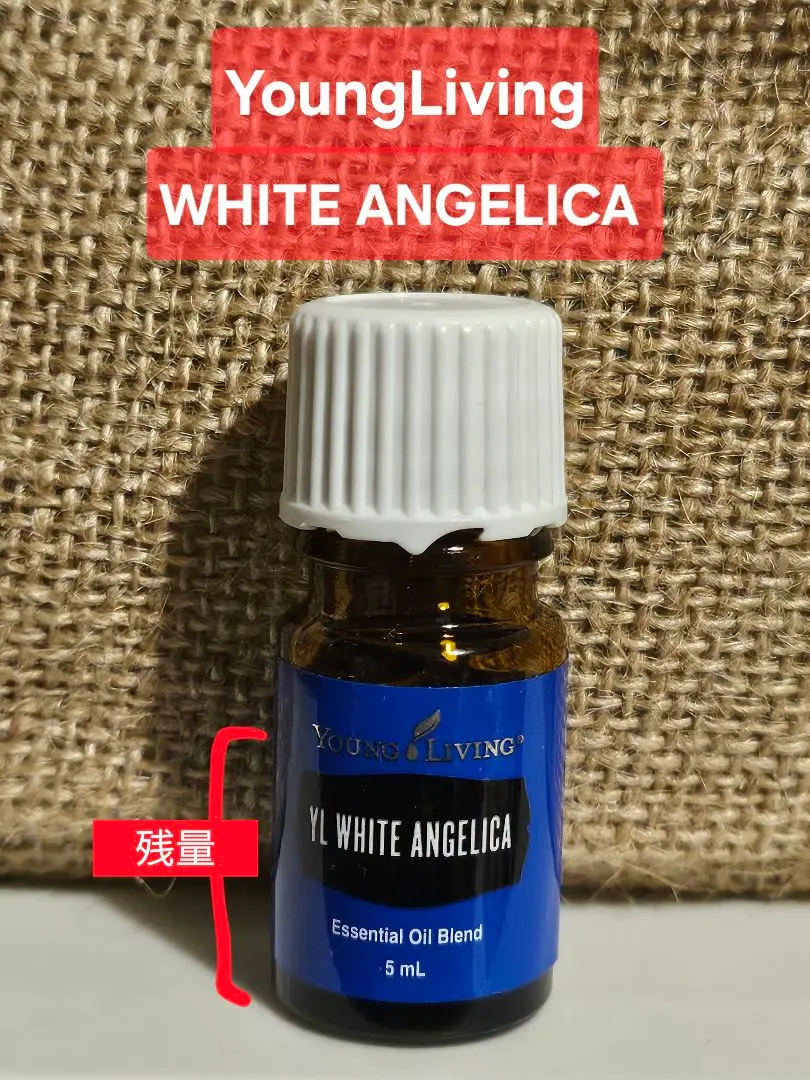 2026年最新】ヤングリヴィング ホワイトアンジェリカの人気アイテム