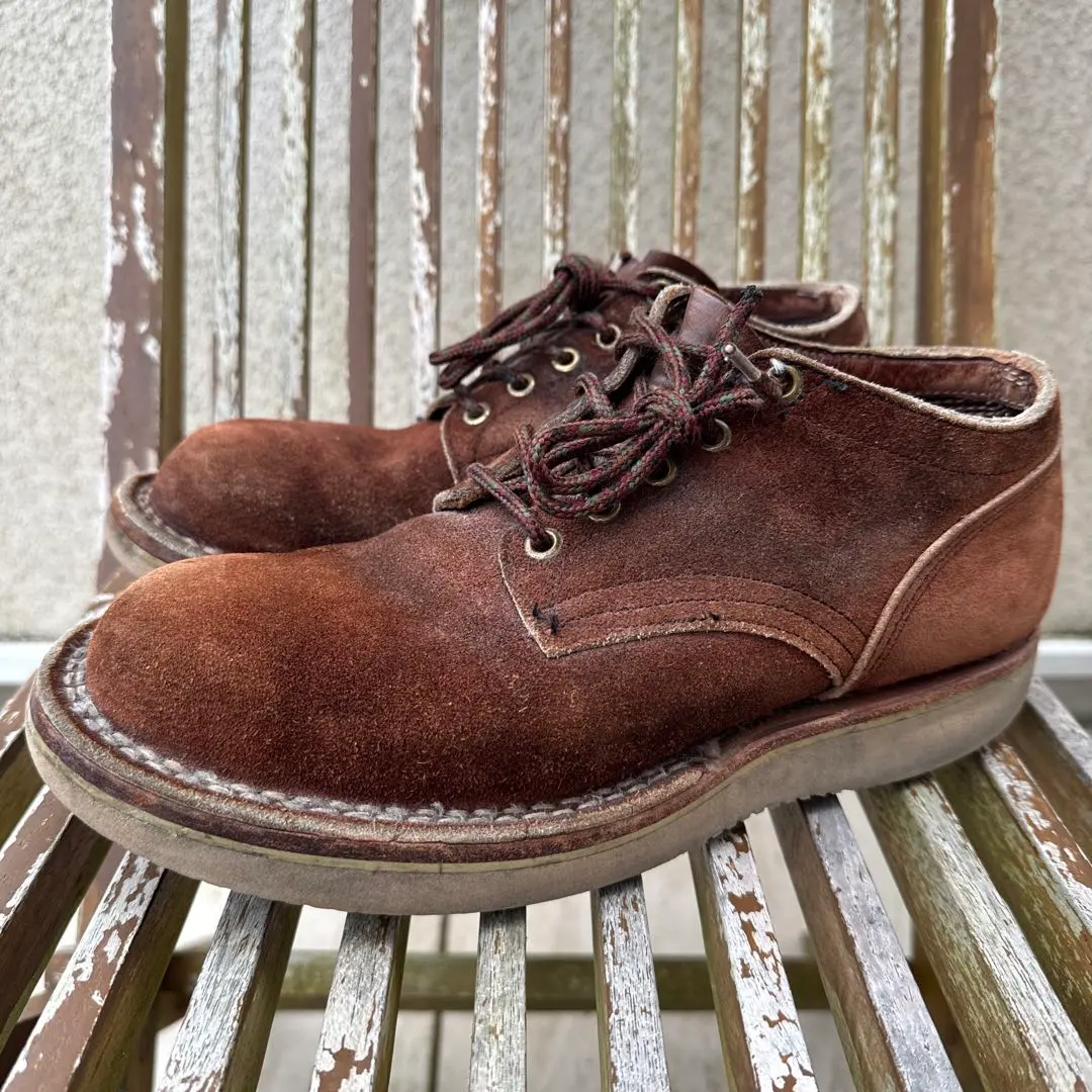 2026年最新】ハソーン ネペンテスの人気アイテム - メルカリ