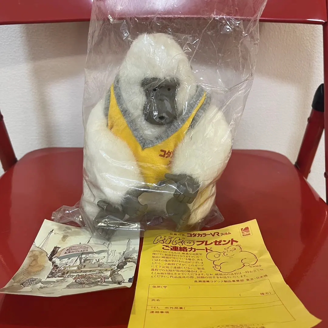 2026年最新】コダカラーの人気アイテム - メルカリ