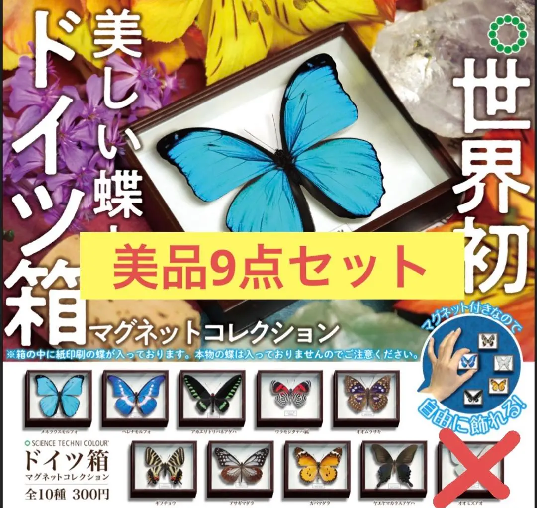 2026年最新】蝶標本 ドイツ箱の人気アイテム - メルカリ