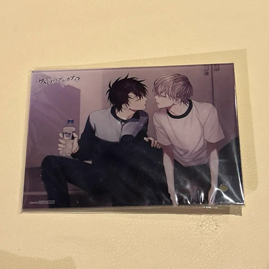 2026年最新】灰色のアルカディア アクリルスタンドの人気アイテム