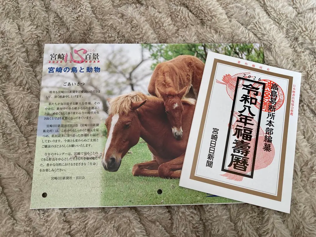 2026年最新】宮崎日日新聞の人気アイテム - メルカリ