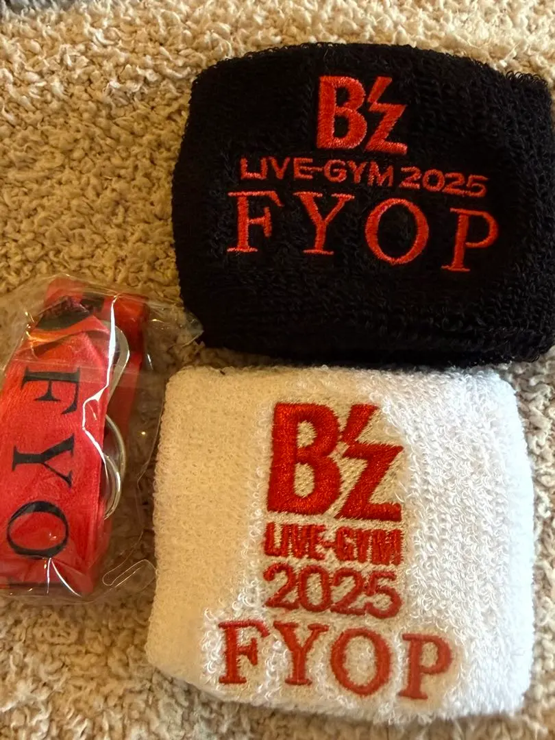 2026年最新】b'z ミュージシャン ネックレスの人気アイテム - メルカリ